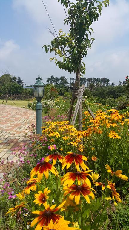 Villa Baghdad House Jeju Esterno foto