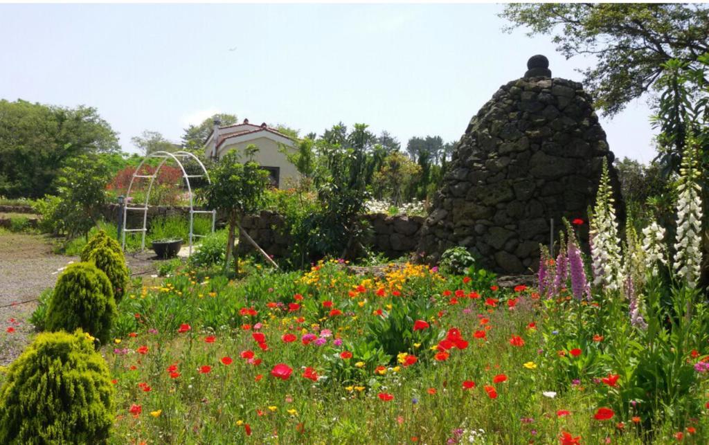 Villa Baghdad House Jeju Esterno foto