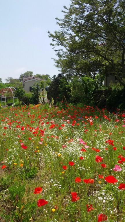 Villa Baghdad House Jeju Esterno foto