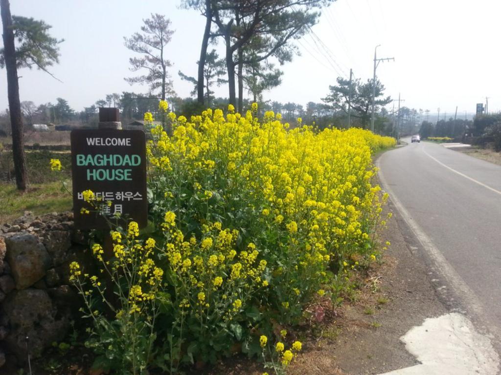 Villa Baghdad House Jeju Esterno foto