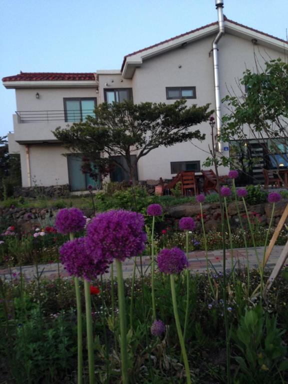 Villa Baghdad House Jeju Esterno foto