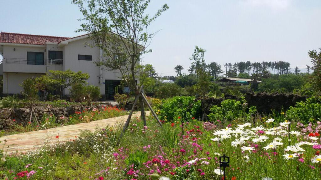 Villa Baghdad House Jeju Esterno foto