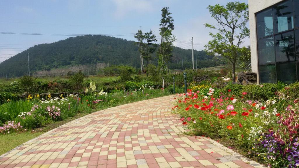 Villa Baghdad House Jeju Esterno foto