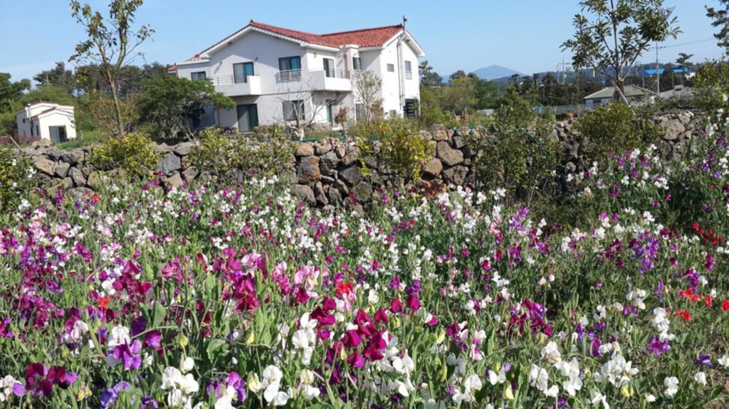 Villa Baghdad House Jeju Esterno foto