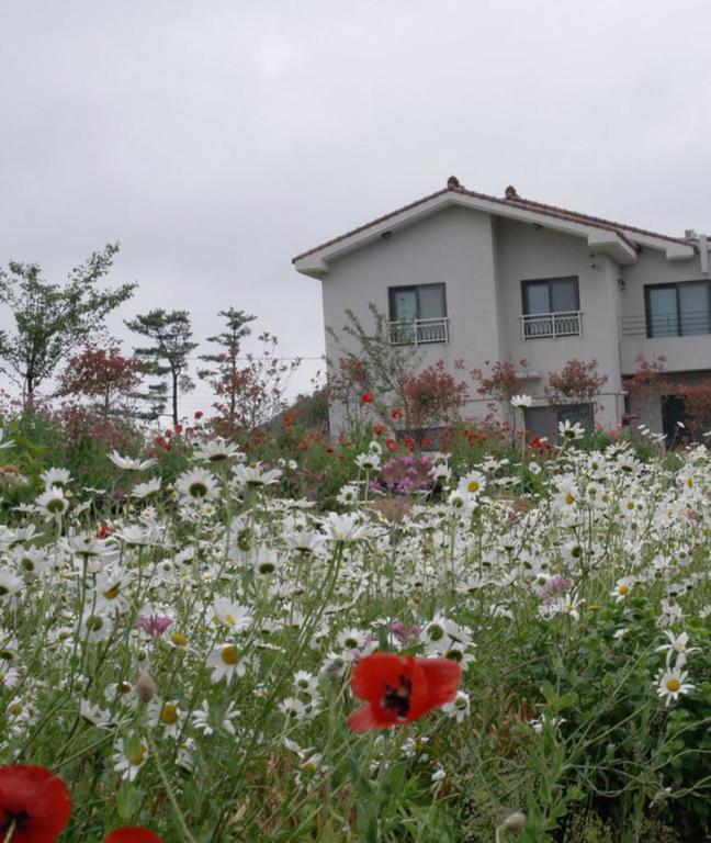 Villa Baghdad House Jeju Esterno foto