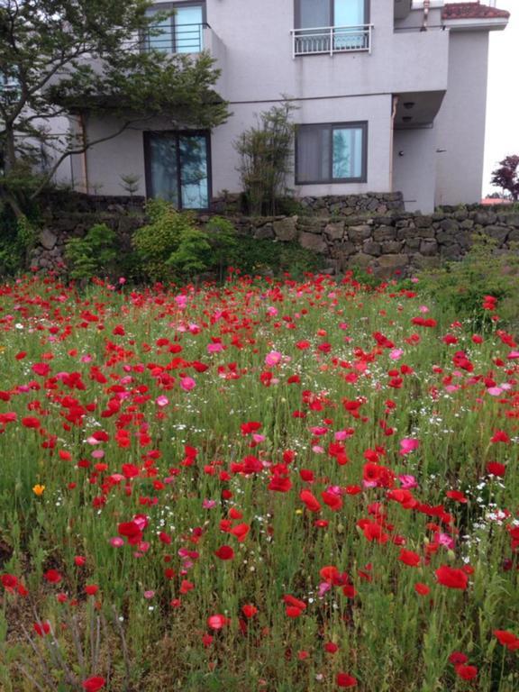 Villa Baghdad House Jeju Esterno foto