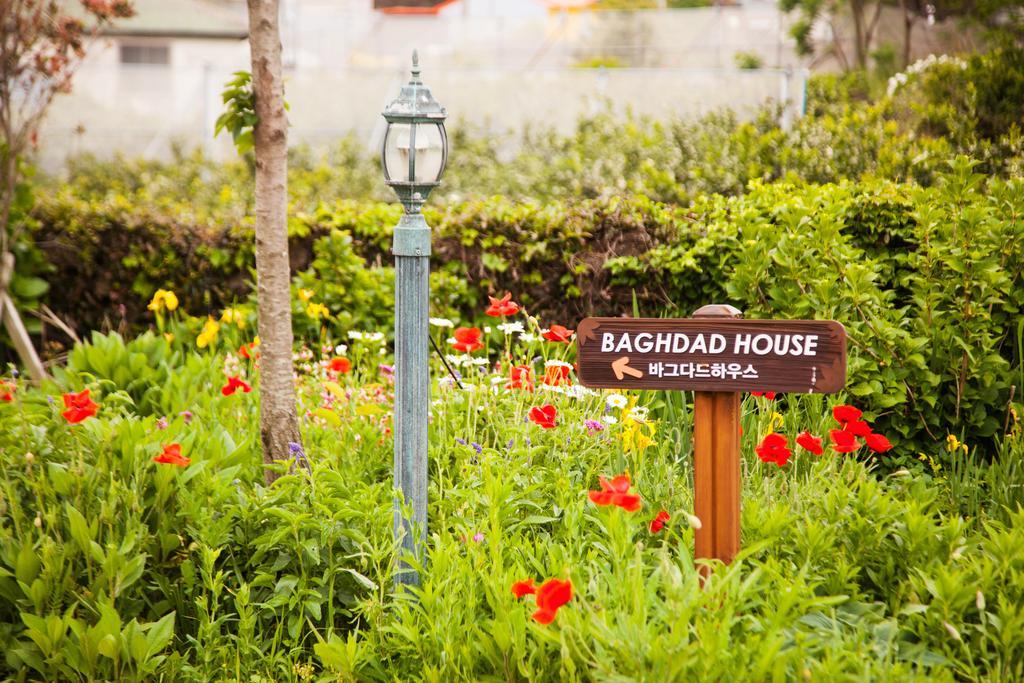 Villa Baghdad House Jeju Esterno foto
