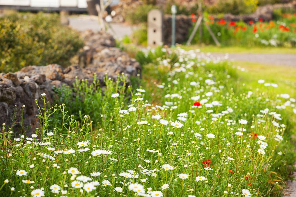 Villa Baghdad House Jeju Esterno foto