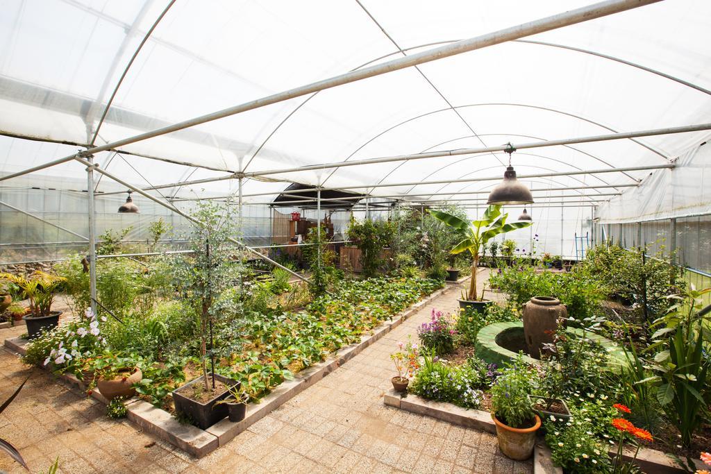 Villa Baghdad House Jeju Esterno foto
