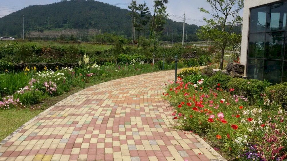 Villa Baghdad House Jeju Esterno foto