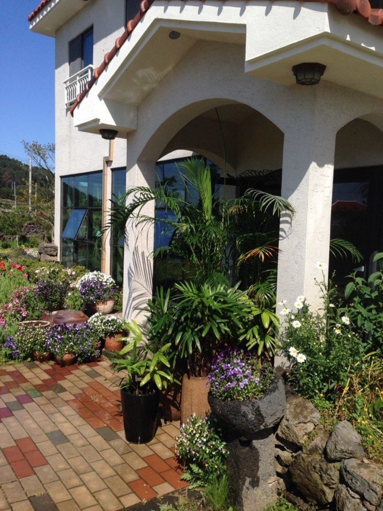 Villa Baghdad House Jeju Esterno foto